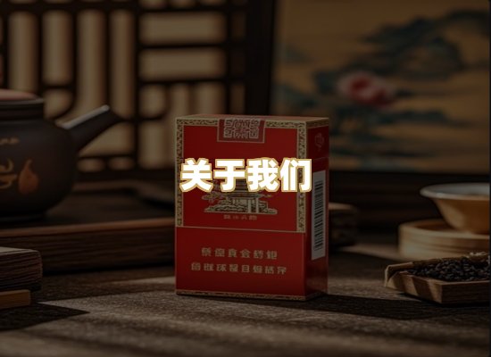 关于我们